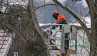Ein Baumpfleger beschneidet im Korb eines Hubwagens stehend einen Baum, im Hintergrund sieht man ein leicht verschneites Hausdach.