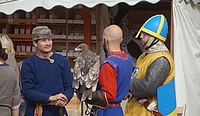 Falkner auf dem Mittelaltermarkt 